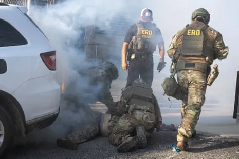Federal Law Enforcement Deploy Teargas and Pepper Balls to Break Up Illinois ICE Protest