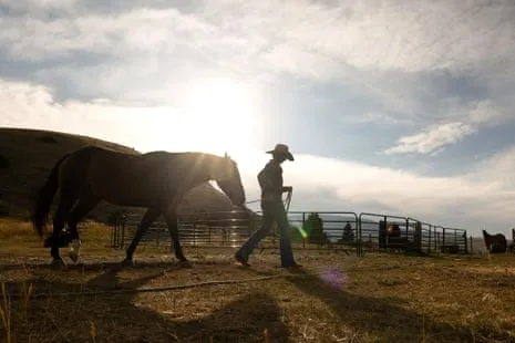 Get to Know the American Women Ranchers Transforming Contemporary Ranching