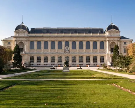 Priceless Gold Samples Stolen in Audacious Robbery at French Natural History Museum