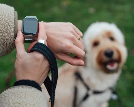 The Reality Concerning Fitness Trackers? Daily Existence Feels Fuller Lacking a Bossy Device on Your Arm